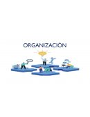 Etapas de la organización