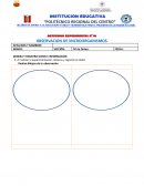 Actividad experimental. Observación de microorganismos