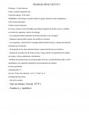 Trabajo práctico 1 - Historia