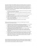 Informe albañileria confinada