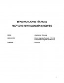 Especificaciones técnicas: proyecto revitalización chicureo