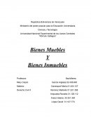 Bienes muebles e inmuebles