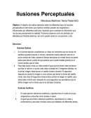 Ilusiones Perceptuales