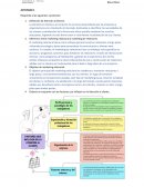 Tarea Atención al Cliente