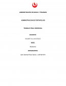 Administracion de portafolios. La mina Cerro Verde