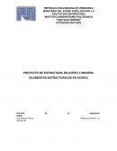 Proyecto de estructura en acero y madera (Elementos estructurales en acero)