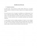 Identificaciòn de mercado (Cebolla Morada)