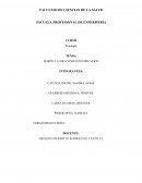 Caso clínico intoxicación integrantes