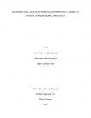 Diagnóstico de la capa de rodadura del pavimento en el Barrio Los Pinos