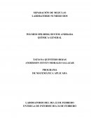 Laboratorio: separación de mezclas