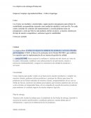 Los objetivos de estrategia de producción. Empresa Complejo Agroindustrial Beta – Cultivo Esparrago
