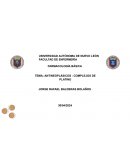 Antineoplásicos - complejos de platino