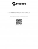 Plan de acción auxiliar de aseo PTS