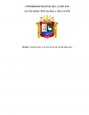 Ensayo de los estilos de aprendizaje