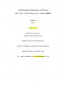 Caso Administración Envases y Embutidos S.A. de C.V