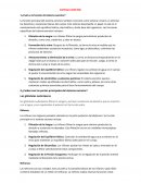 Sistema excretor