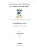 Plan de marketing - Heladeria Piamonte