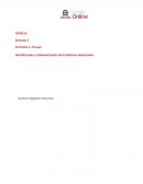 Identificación y sistematización de problemas industriales