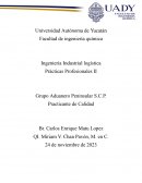 Grupo Aduanero Peninsular S.C.P. Prácticas Profesionales II