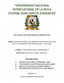 Identificamos los tipos de penacho o pluma de las chimeneas de Pichanaki y Sangani