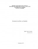 Determinante de una matriz y sus propiedades