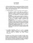 Caso Volkswagen. Ética y Negocios