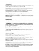 Infografia ilustración Vida de San Agustín