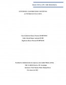 Procesos cognitivos de una organización