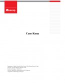 Caso Kona. Análisis Externo