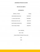 Estrategia de liderazgo