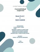 Contabilidad superior Gerel S.A.C y sus casos