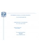 El sistema de puntas estrella de grandes organizaciones