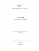 ¿Por qué los jóvenes caen en las drogas?