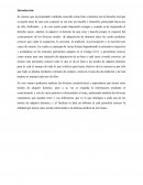 Regimen jurídico. Introducción