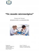 Informe Laboratorio Microscopia. Un mundo microscópico