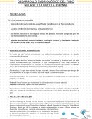 Desarrollo embriológico del tubo neural y la médula espinal