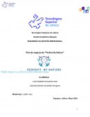 Plan de negocio de Perfect By Nature