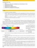 Capítol 6: Visió. Regions del cervell que intervenen en el processament visual