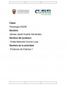 Practica profesional: desarrollo del “yo”