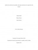 Análisis de las condiciones de seguridad y salud según características de la organización redes humanas