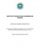 Propuesta de diseño de organización en la constructora proyectos y construcciones de Chapaco S.A. de C.V