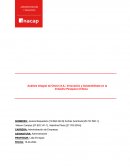 Análisis Integral de Orizon S.A.: Innovación y Sostenibilidad en la Industria Pesquera Chilena