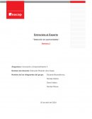 Entrevista a experto