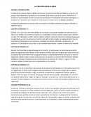 Creación según la Biblia