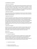 Definición de la audiencia. Little Caesars