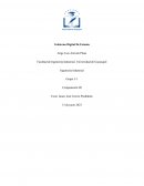 La digitalización de Estonia