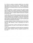 Ensayo agroecología y la agricultura colombiana