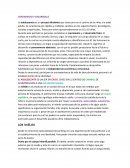 Adolescencia, características y etapas