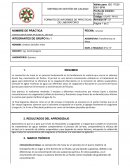 Conveccion de masa