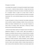 El lenguaje en los animales